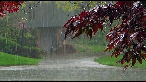 Monsoon in Goa