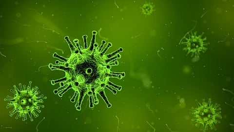 Lambda virus