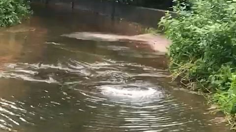 Dirty water from the sewerage plant overflowed at Calangute, Goa. On Friday, 23 July, 2021