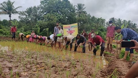 Agriculture