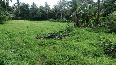 Goa Farm