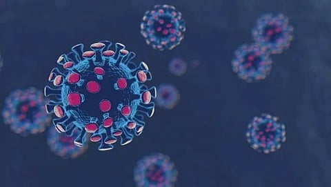 COVID-19: A new strain GAMA of the corona virus in Russia