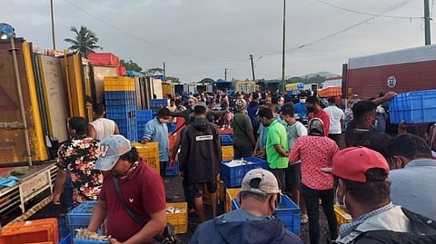 Goa Fish Market