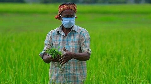 PM Kisan Scheme