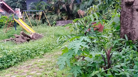 Goa : Cancona Palika Garden.