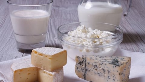 milk product