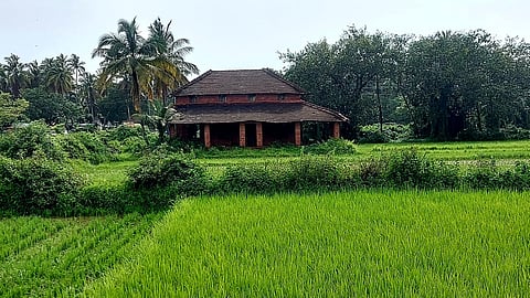 Goa : Development is expected by maintaining the agricultural culture here in Nuvem Goa.