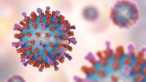 Respiratory Syncytial Virus