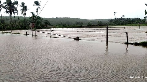 Mandrem River (Goa)