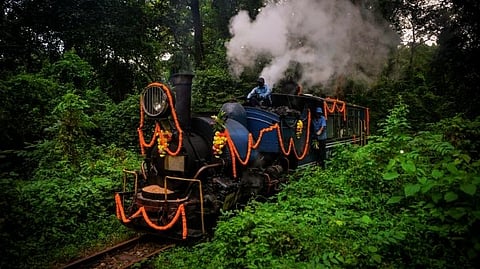 Jungle Tea Safari