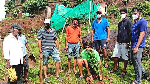 Omkar Malvankar and other activists of Anjuna - Cayasuve Youth Association planting tree, in Goa