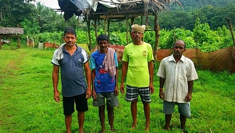 पेळावदा रावण येथे सामूहिकरित्या शेतीची राखण करणारे महादेव गावस, विठ्ठल मोरजकर, मनोहर माईणकर व राजेंद्र जाधव