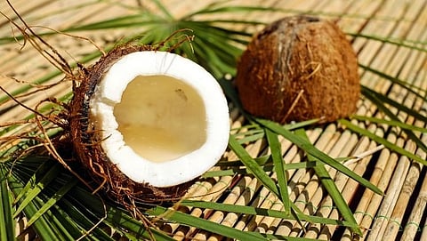 Coconut