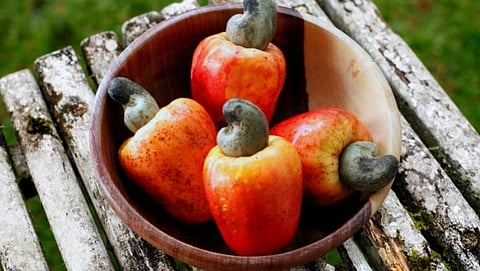 Cashews