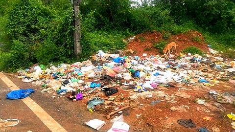 धारगळ दोन खांब येथे साचलेला कचरा (Goa)