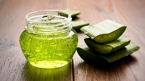 Health Tips: Aloe vera Benifits