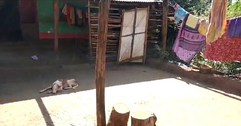 खोतीगावातील केरी वाड्यावरील एक घर