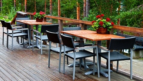 Forest in Cafe