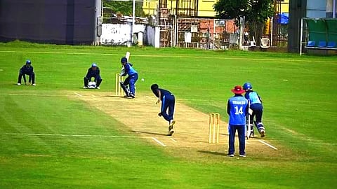 Cricket