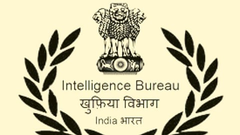IB