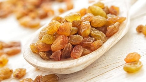 Manuka water is beneficial for weight loss