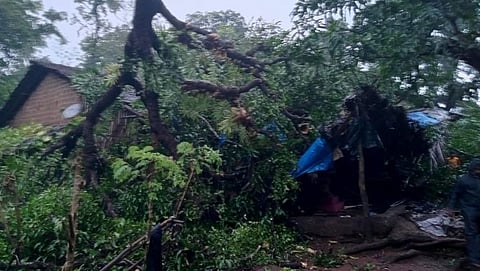 कुडचिरेत घरावर झाड कोसळले