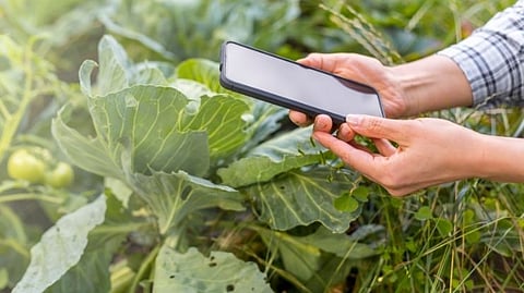 farmers now online