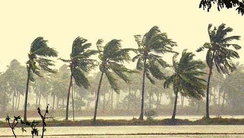 Rain