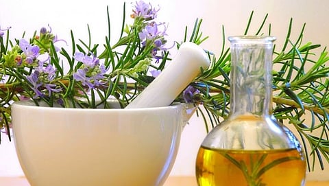 Tremendous benefits Rosemary Oil for hair growth