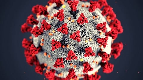 WHO formed a new committee to find out where the corona virus originated