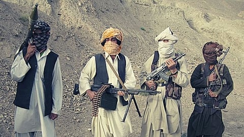 Taliban offer money & land to bombers