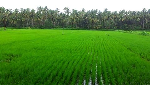 Goa Agricultur