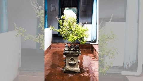 चराचरात देवत्व पाहणारी संस्कृती