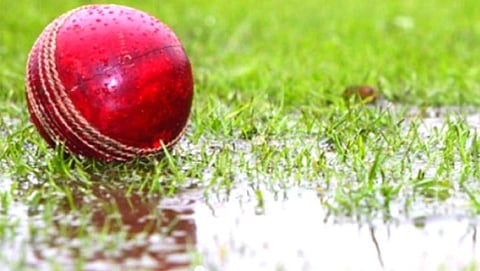 Cricket