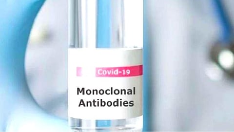 Monoclonal antibody