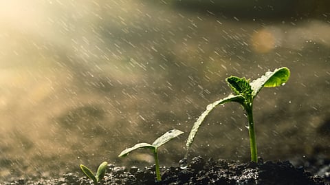 rainfall activity is very likely from around 28th November over both districts of Goa