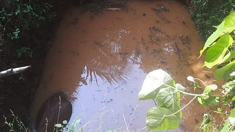 डिचोली अग्निशमन दलामुळे सुखरूप सुटका