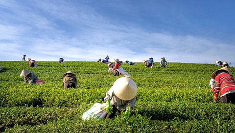 PM Kisan Scheme