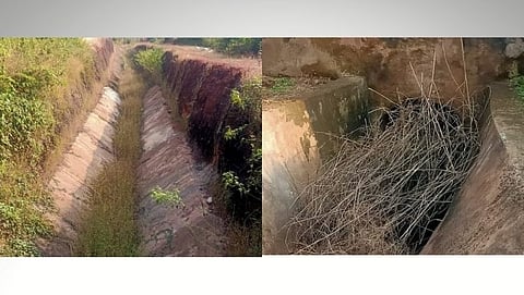 Canal cleaning