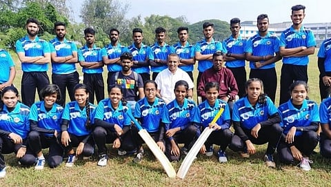 Cricket