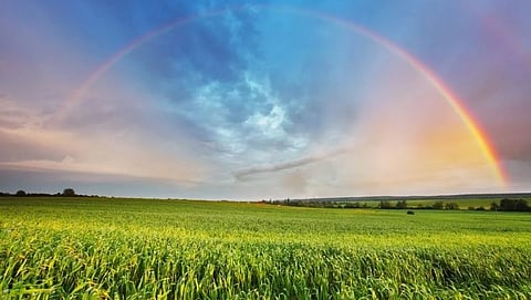 Rainbow