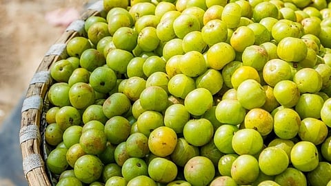 Gooseberry