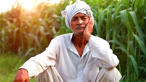 शेतकरी