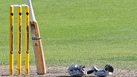 Cricket