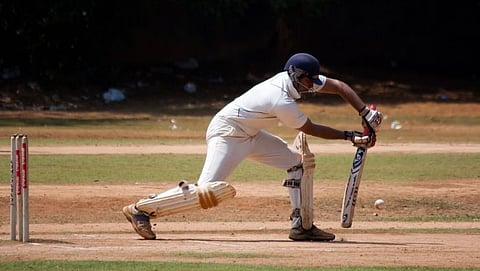 Cricket
