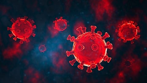Coronavirus