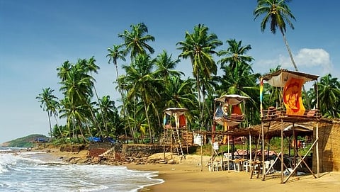 Shacks erected where turtles lay their eggs