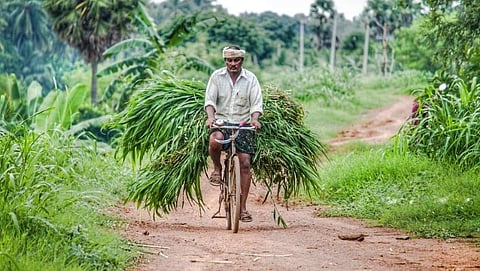 PM Kisan योजनेचा लाभ घेण्यासाठी 'या' महत्वाच्या गोष्टींवर द्या लक्ष