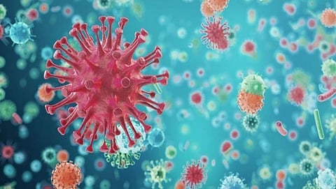 Corona virus