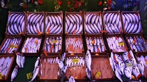 Fishing industry